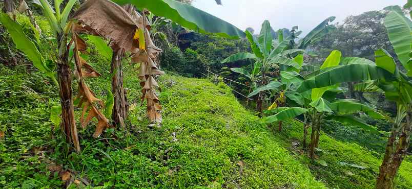 tanah view lembah pakar kawasan dago bandung
