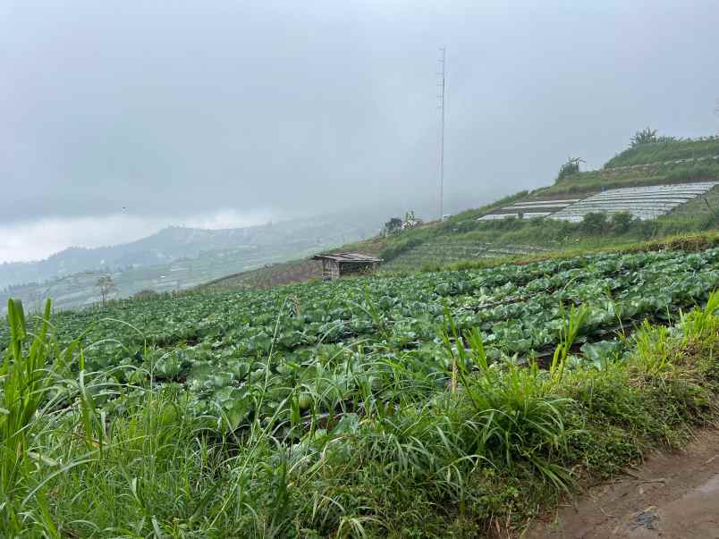 tanah wisata kemuning 1000m view istimewa