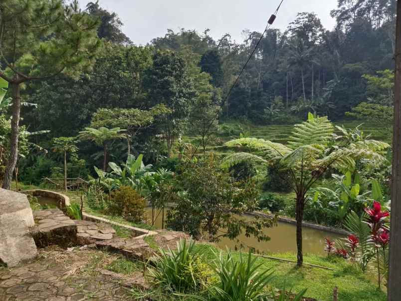 bila dan kolam ikan dekat sungai subang jawa barat