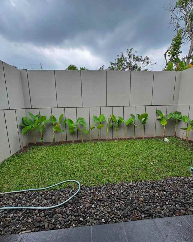 dijual cepat rumah nyaman di kalasan siap huni