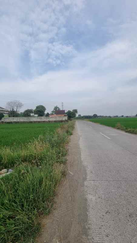 dijual cepat tanah wadas telukjambe timur karawang