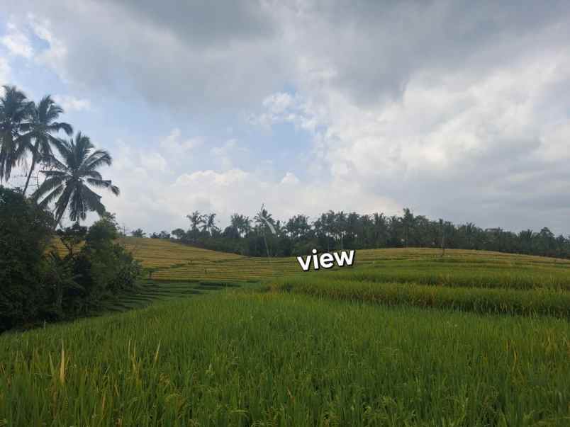 dijual lahan kebun sawah los sungai dan view gunung