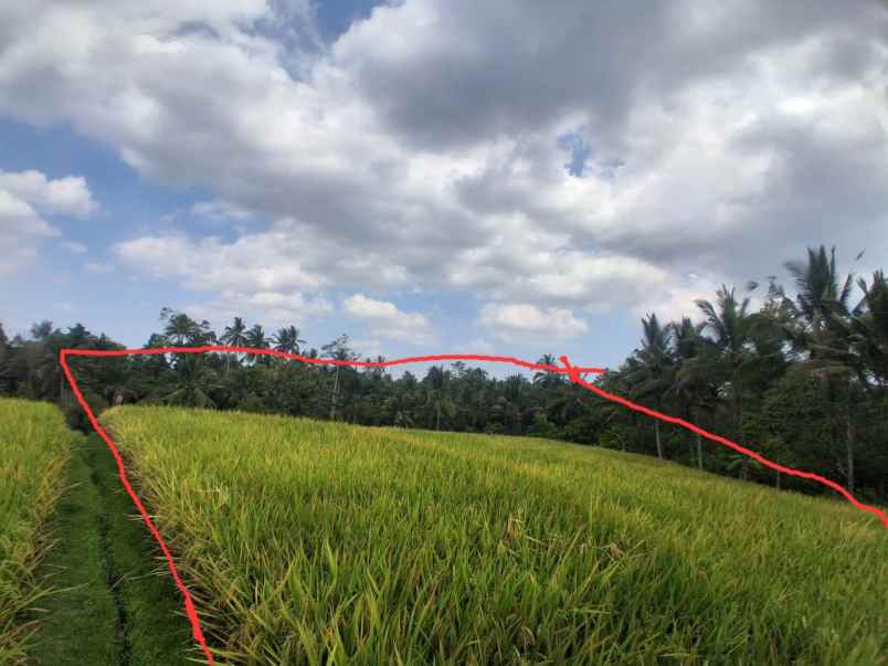 dijual lahan kebun sawah los sungai dan view gunung
