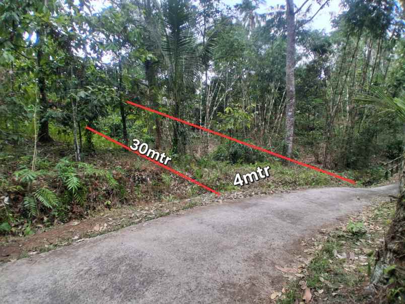 dijual lahan kebun sawah los sungai dan view gunung