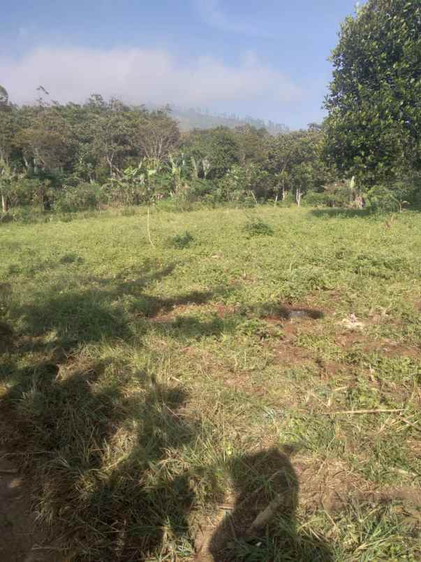 dijual murah lahan cijapati cikancung kab bandung