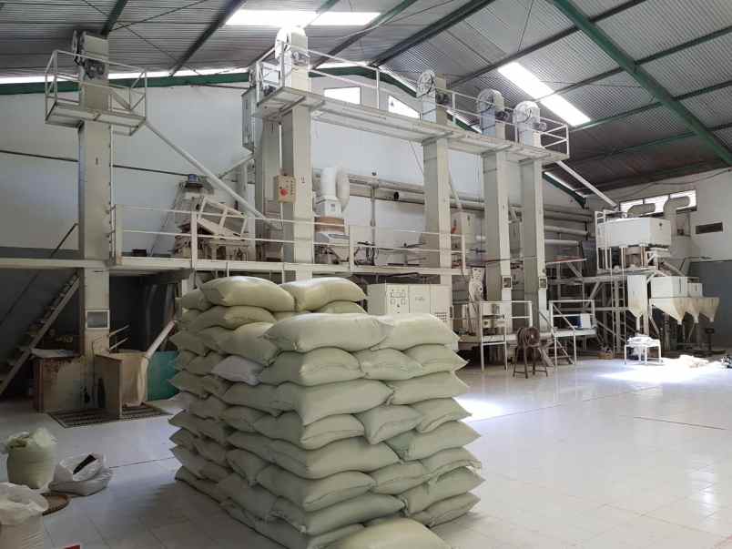 dijual pabrik beras kopi di bondowoso