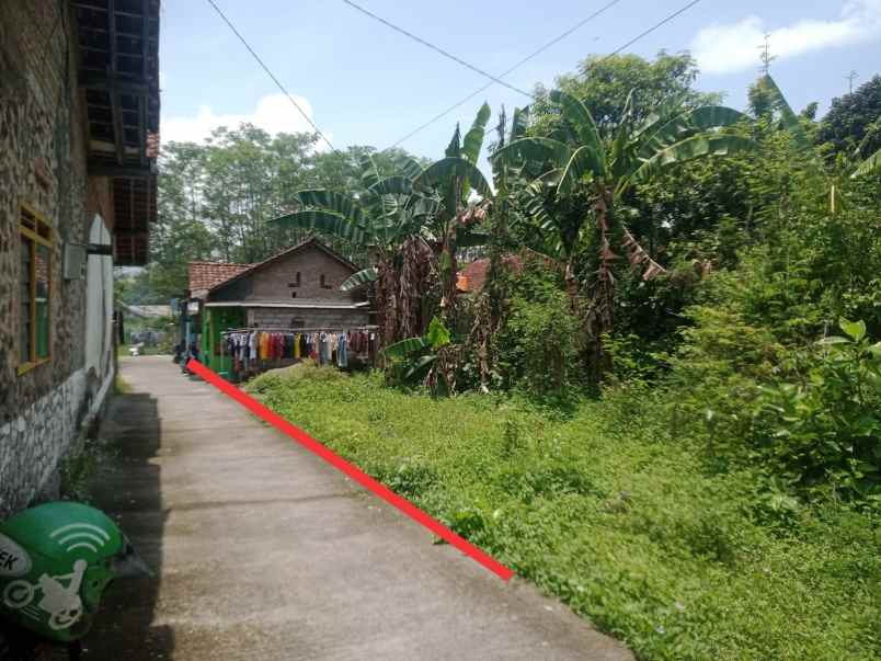 dijual pekarangan murah di berbah