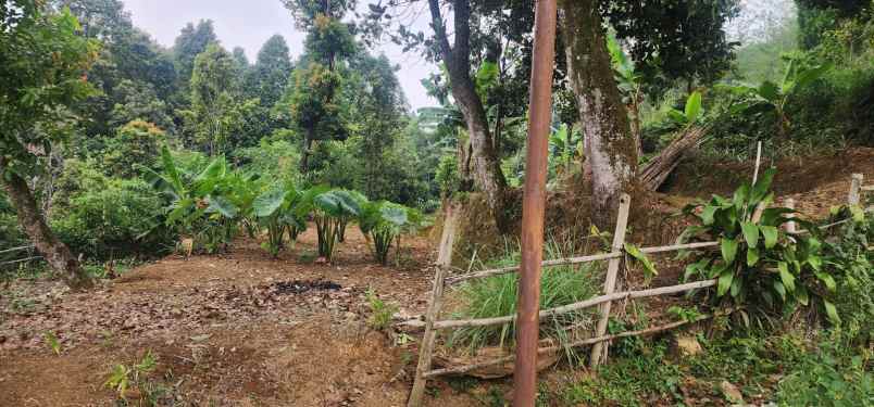 dijual ruko tanah di jln raya tanur bogor jabar