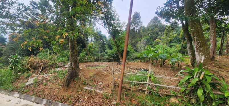 dijual ruko tanah di jln raya tanur bogor jabar