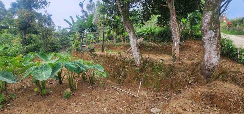 dijual ruko tanah di jln raya tanur bogor jabar