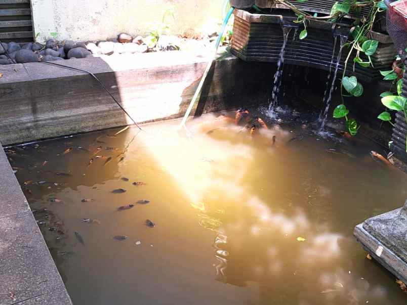 dijual rumah cluster aralia harapan