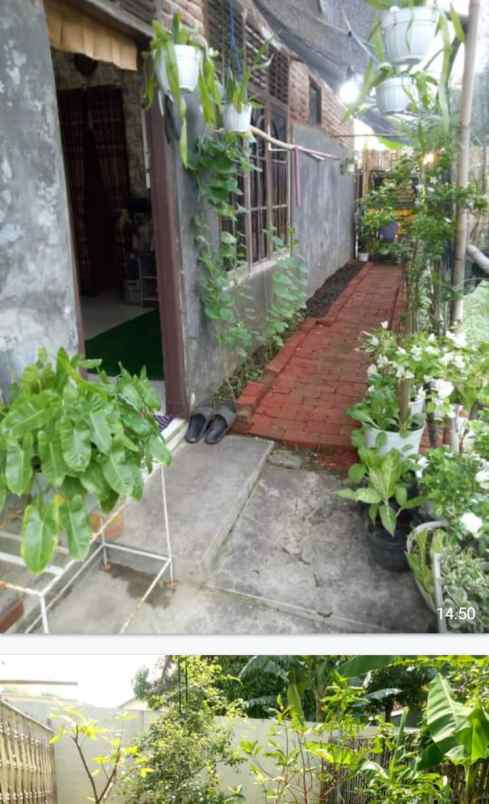 dijual rumah di gg ampera 4 blok desa 1