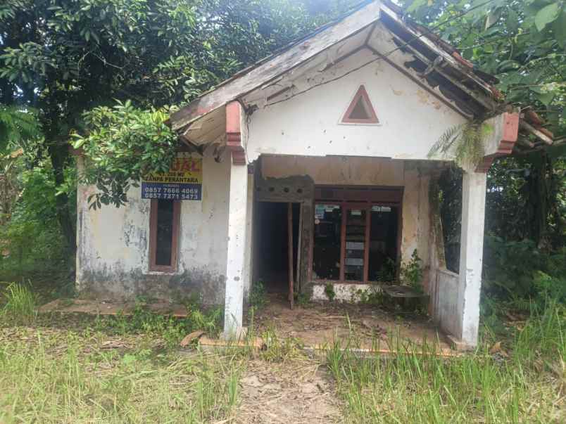 dijual rumah dijual tanah bonus rumah