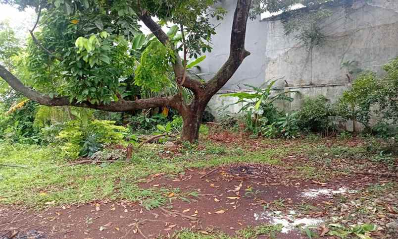 dijual rumah flamboyan