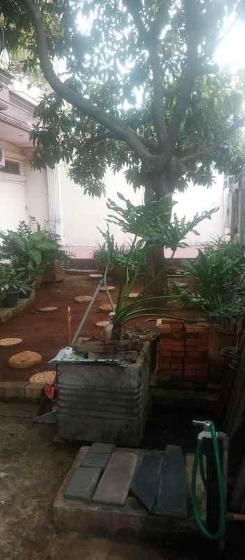 dijual rumah jln kalibaru timur bungur