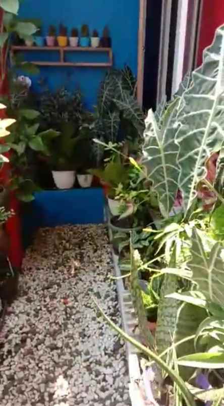 dijual rumah kalimulya cilodong depok