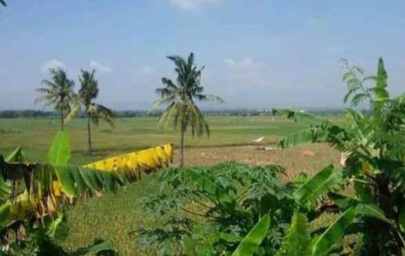 dijual tanah 32 hektar zona industri karawang timur