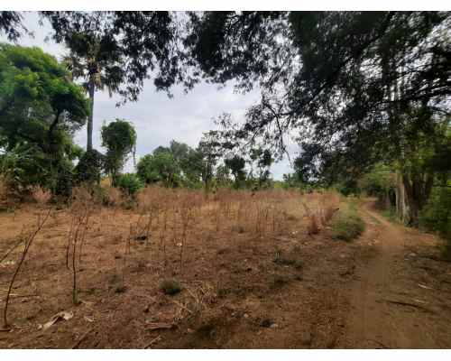 dijual tanah 92500 m2 di kubutambahan buleleng bali