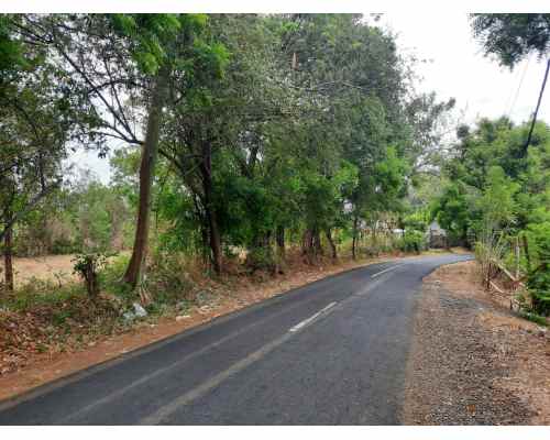 dijual tanah 92500 m2 di kubutambahan buleleng bali