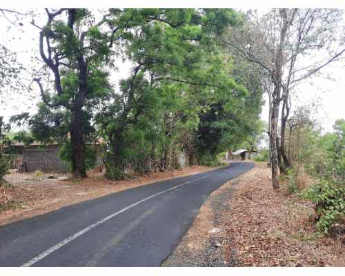 dijual tanah 92500 m2 di kubutambahan buleleng bali