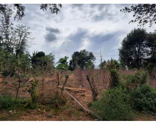 dijual tanah 92500 m2 di kubutambahan buleleng bali
