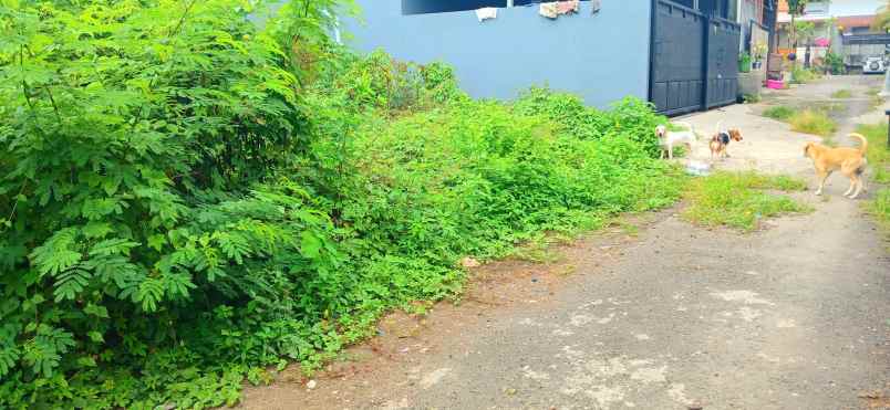 dijual tanah abianbase mengwi badung bali