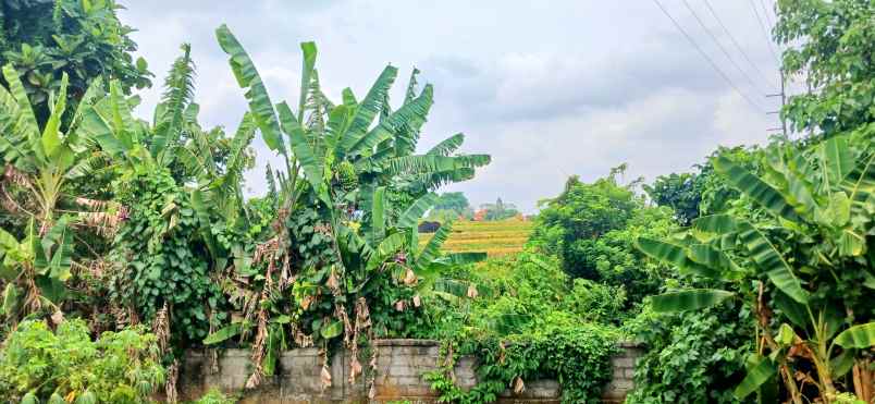 dijual tanah abianbase mengwi badung bali