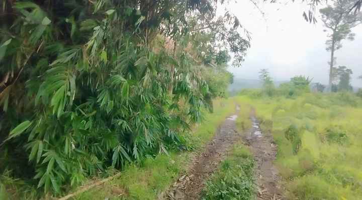dijual tanah akses jalan mobil masuk di randobawa