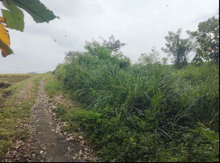 dijual tanah akses jl mobil air mengalir subur