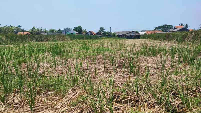 dijual tanah babelan