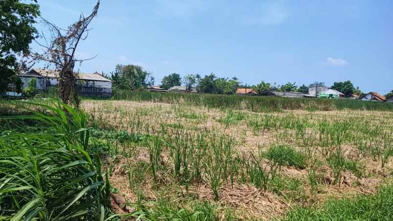 dijual tanah babelan