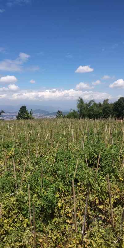 dijual tanah cilimus hilir padaasih
