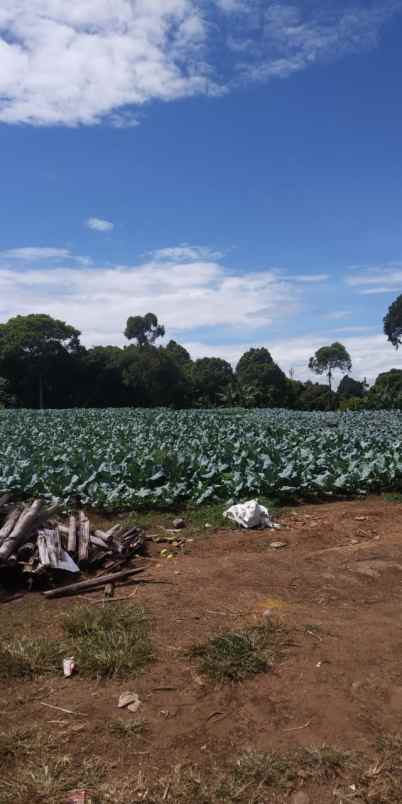 dijual tanah cilimus hilir padaasih