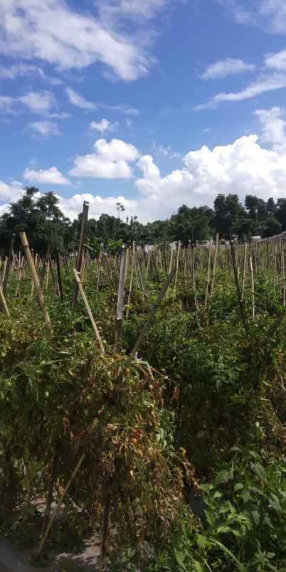 dijual tanah cilimus hilir padaasih