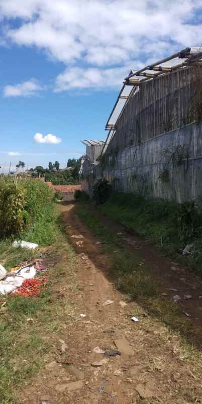 dijual tanah cilimus hilir padaasih