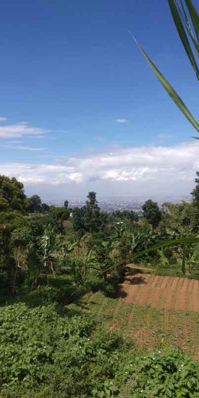 dijual tanah cilimus hilir padaasih