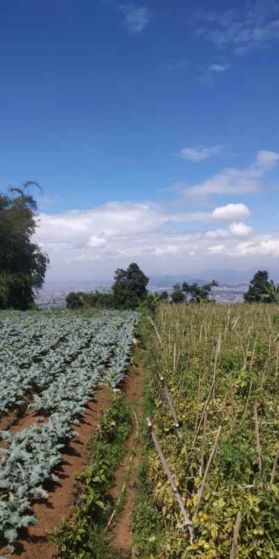 dijual tanah cilimus hilir padaasih