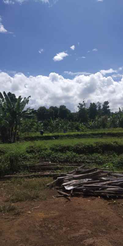 dijual tanah cilimus hilir padaasih