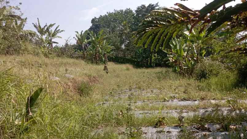 dijual tanah cisarua