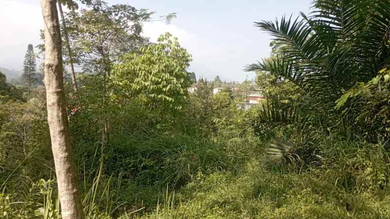 dijual tanah cisarua