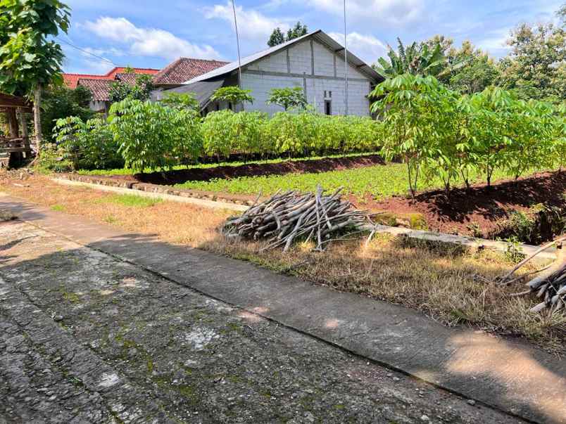 dijual tanah datar cocok untuk rumah tinggal sragen