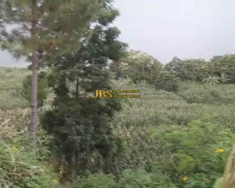 dijual tanah desa martoba simanindo