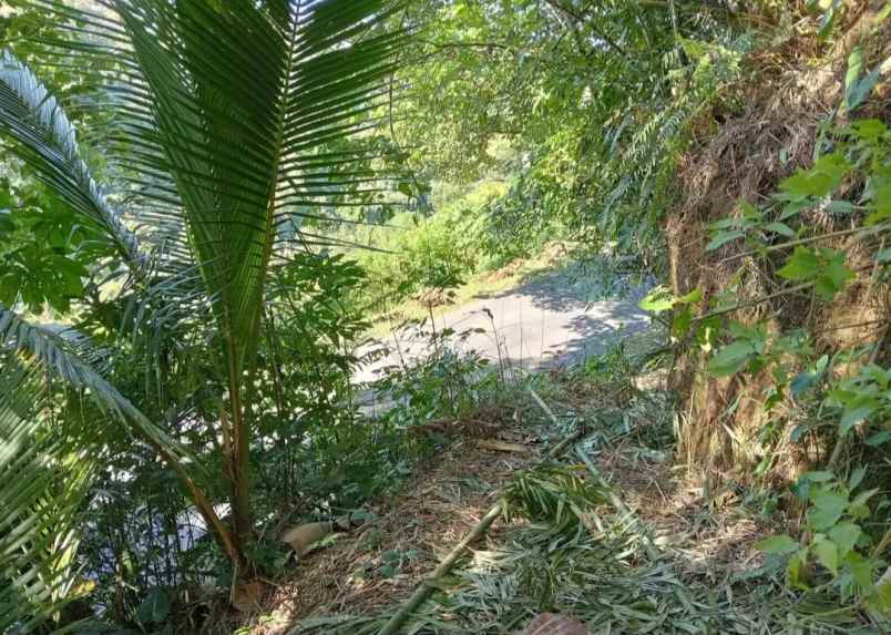 dijual tanah desa sanda kec pupuan