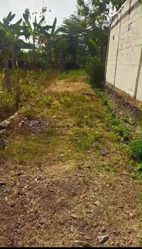 dijual tanah dijual tanah di jl solo