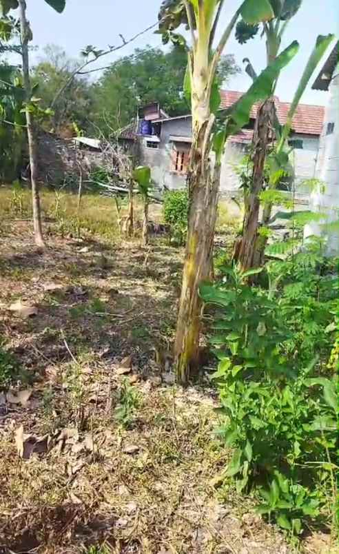 dijual tanah dijual tanah di jl solo