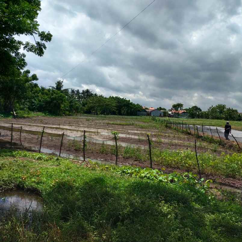 dijual tanah dijual tanah di kp pintu