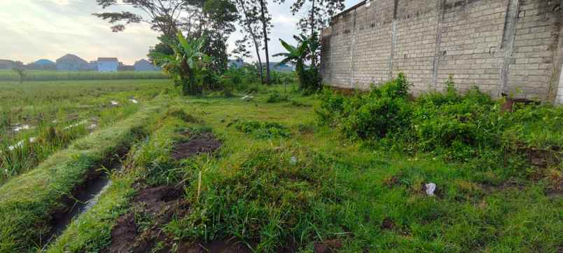 dijual tanah dijual tanah di mrican