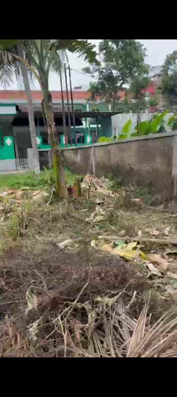 dijual tanah drangong taktakan serang banten