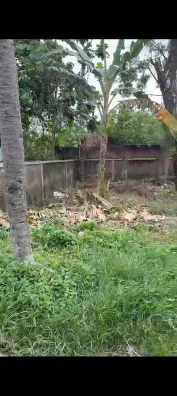 dijual tanah drangong taktakan serang banten