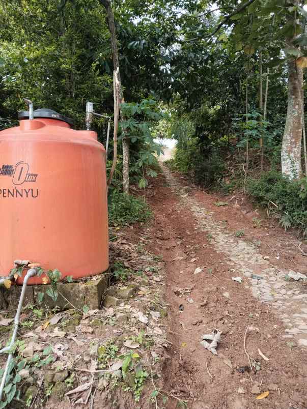 dijual tanah dusun bodo waluh rt 05 rw